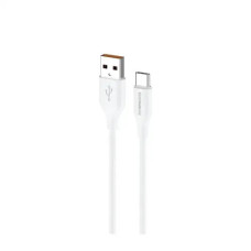 Riversong CT85 Beta 9 Type-C Data Cable