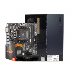 PQS Special AMD Ryzen 5 4600G 8GB DDR4 250GB M.2 SSD PC