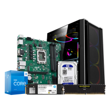 PQS Special Core-i5 13th Gen 8GB RAM 1TB HDD 250GB SSD Desktop PC