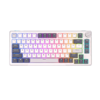 Royal Kludge RK H81 Tri Mode RGB Hot Swap Mechanical Keyboard