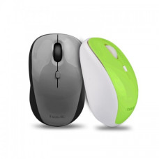 Havit MS979GT Wireless Optical Mouse