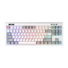 1STPLAYER NEO87 Lavender Switch RGB Mechanical Gaming Keyboard