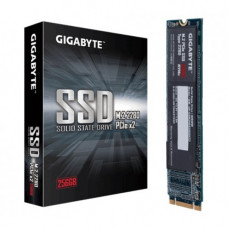 GIGABYTE 256GB M.2 PCIe SSD