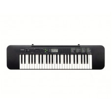 CASIO CTK-240 Piano | Standard