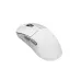 DAREU A950 Wing PAW3950 8KHz Wireless USB Gaming Mouse