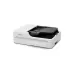 Epson DS-1730 Flatbed Color Duplex Document Scanner with Auto Document Feeder