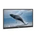 Epson EI-P6501 65 Inch (8GB RAM, 128GB ROM) 4K UHD Interactive Flat Panel Display (Android 14) #V12HC40056