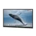 Epson EI-P6501 65 Inch (8GB RAM, 128GB ROM) 4K UHD Interactive Flat Panel Display (Android 14) #V12HC40056