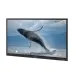 Epson EI-P7501 75 Inch (8GB RAM, 128GB ROM) 4K UHD Interactive Flat Panel Display (Android 14) #V12HC41056