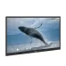 Epson EI-P7501 75 Inch (8GB RAM, 128GB ROM) 4K UHD Interactive Flat Panel Display (Android 14) #V12HC41056