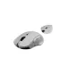 Fantech WG12RS RAIGOR III 2000dpi Macro Button Wireless Gaming Mouse (White)