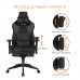 Gamdias Achilles P1-L Gaming Chair