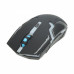 HAVIT MS997GT Wireless Optical Mouse