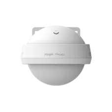 Ruijie RG-RAP6262 AX3000 Wi-Fi 6 Omni-directional Outdoor Access Point